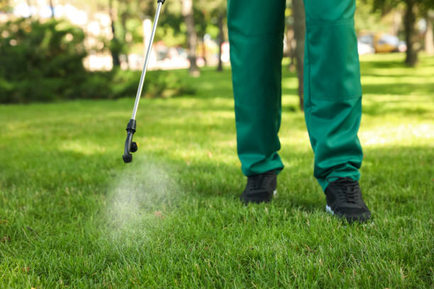 Best Pest Control Near Me  in Carrizo Hill, TX