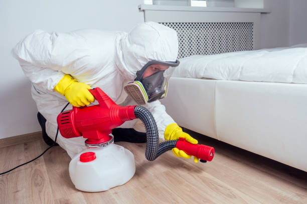 Best Termite Control Services  in Carrizo Hill, TX