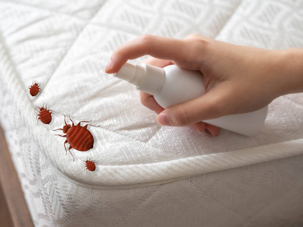 Best Pest Inspection Near Me  in Carrizo Hill, TX