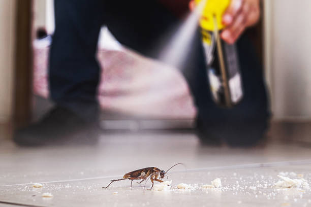 Best Exterminator Services  in Carrizo Hill, TX